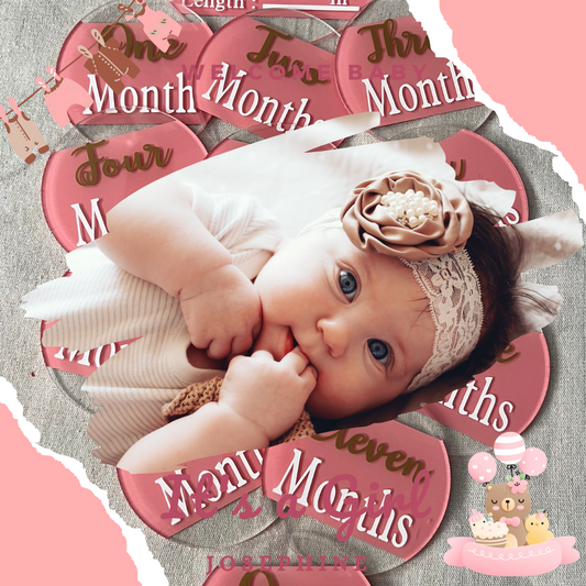 Baby Girl Pink Arrival and Monthly Growing Signs